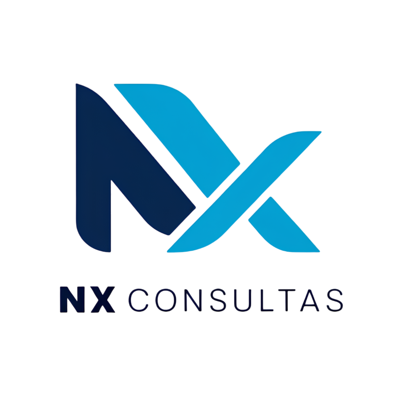 NX Consultas Logo